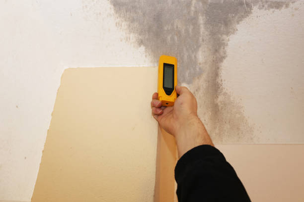 Best Biohazard Mold Removal  in Eastwood, MI