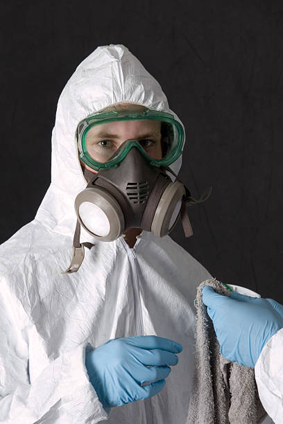 Mold Documentation for Insurance Claims in Eastwood, MI